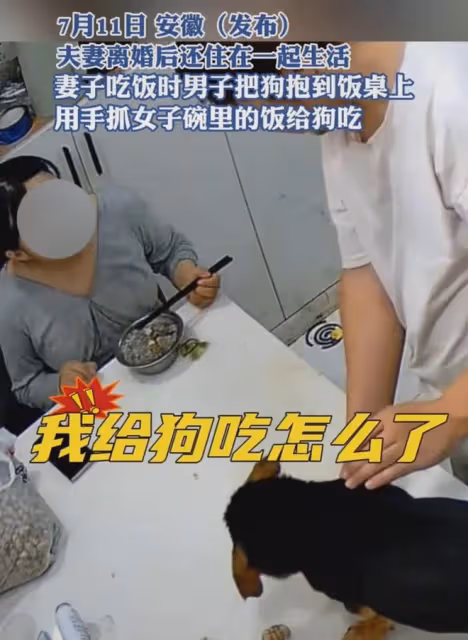 女子離婚沒娘家跟前夫同住，吃飯被前夫抓食物喂狗，推開碗更窒息