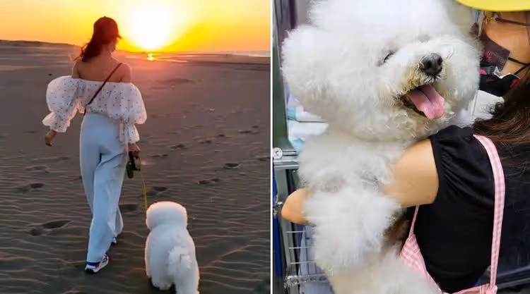 蔡依林悲痛愛犬屋虎過世！貼最後身影照　「謝謝你接納我最黑暗一面」