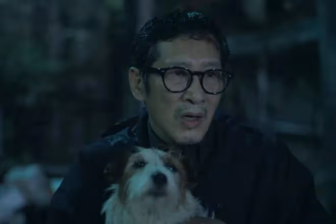 《錯位》真相了!顧己鳴殺了江娜,蘇真真終究是錯付了
