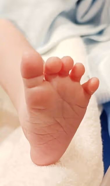 魏晨首次曬孩子背影照!1歲小橙子坐爸爸肩頭乖巧可愛