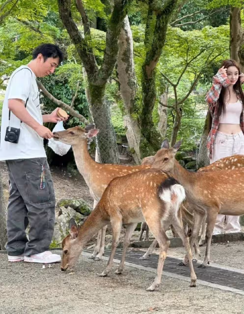 王思聰剪新髮型狀態顯油膩，帶女朋友抓娃娃喂鹿感情甜蜜，羨慕