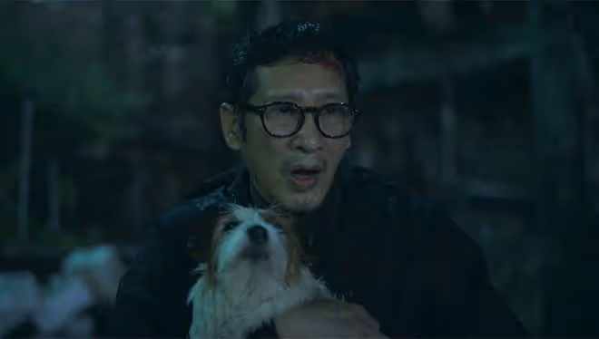 《錯位》張晴案還有反轉,顧己鳴身敗名裂?江娜被蘇真真殺害