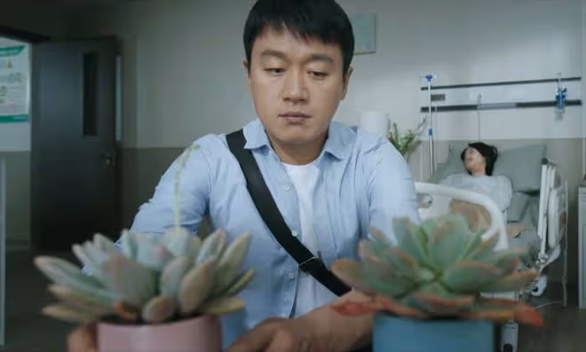 《錯位》張晴案還有反轉,顧己鳴身敗名裂?江娜被蘇真真殺害