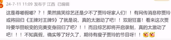 賈玲被傳回歸《王牌》,評論區一半支持一半擔憂,擔憂主要有兩點