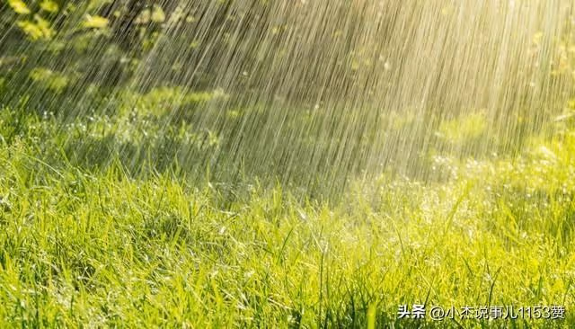 今日正式入伏，老人說「最怕入伏一日雨」下雨有啥預兆？答案來了
