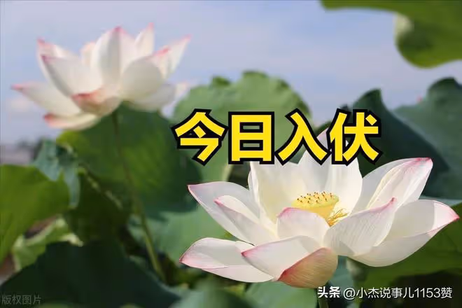 今日正式入伏，老人說「最怕入伏一日雨」下雨有啥預兆？答案來了