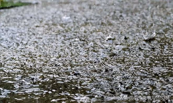 今日正式入伏，老人說「最怕入伏一日雨」下雨有啥預兆？答案來了