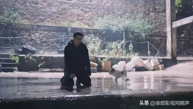 《錯位》15集大結局:再次反轉,前夫哥徐康才是殺害張晴的兇手!