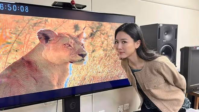 破天荒!TVB黃金時段停播劇集改播紀錄片,繼續吃大熱劇老本?