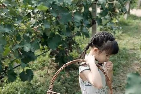8歲女童暑假「擺攤賣葡萄」無人捧場！哽咽「我沒爸媽…」好心大叔霸氣全包