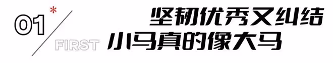 《抓娃娃》為影視圈發掘了一個00後好演員,易烊千璽有隊友了