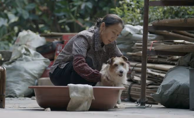 《錯位》大結局：姜光明沒想到，花椒狗繩並非兇器，兇手不是孫斌