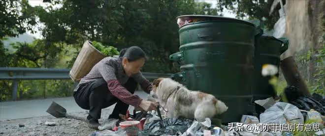 《錯位》直到江娜同母異父身份曝光，顧根本不知分手真相悲慘