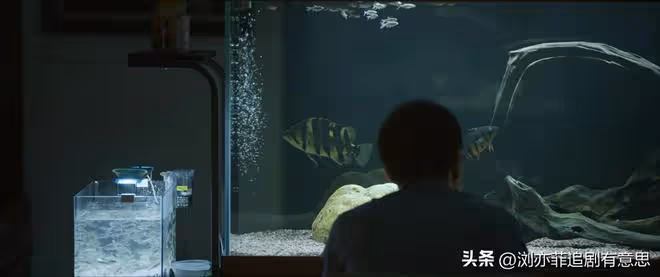 《錯位》直到江娜同母異父身份曝光，顧根本不知分手真相悲慘