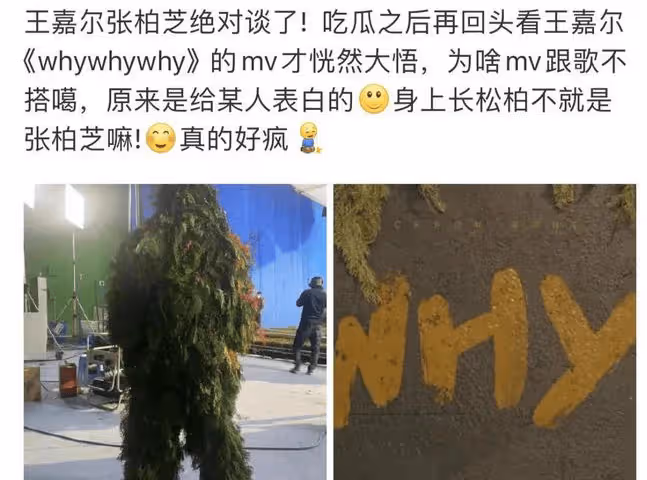 張柏芝第四胎生女!王嘉爾是生父?