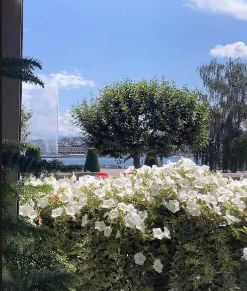 汪小菲帶小梅到日內瓦度蜜月,坐遊艇喂天鵝,大S沒有過的待遇