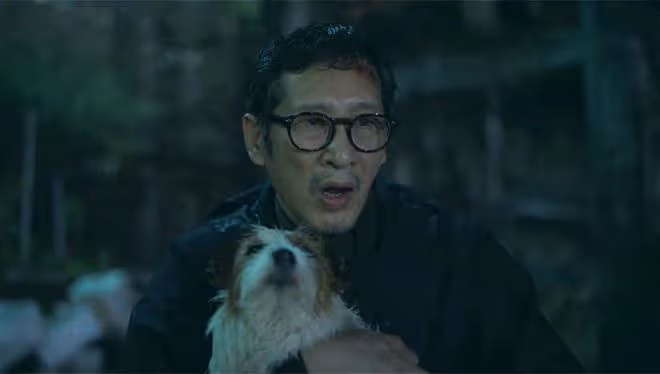 《錯位》大結局:直到顧己鳴要殺楊慧,還不知,自己是蘇真真玩物