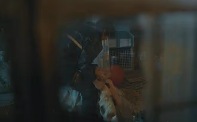 錯位:直到顧己鳴承認腳踩兩隻船,姜光明卻不知,楊慧是破案關鍵