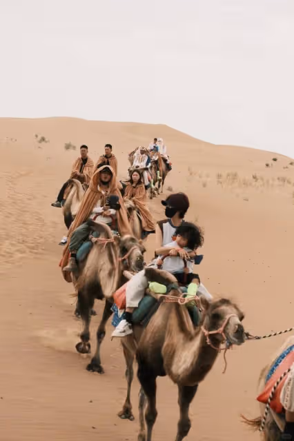 蔡少芬一家人寧夏旅遊,兒子爆炸頭特可愛,母子坐在駱駝上拍照
