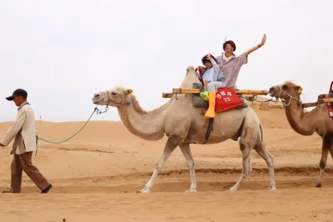 蔡少芬一家人寧夏旅遊,兒子爆炸頭特可愛,母子坐在駱駝上拍照