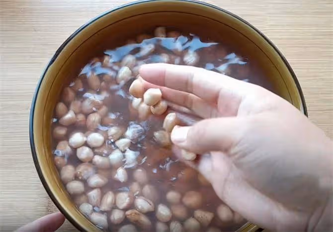 花生最健康做法，不用油，不用鹽，加2斤水，10分鐘做出營養早餐