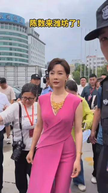 47歲陳數被偶遇,臉凹凸不平,肚子凸起臀部扁平並不覺得多漂亮!