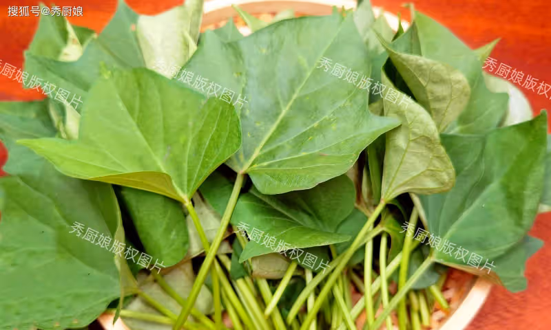 三伏天,少吃黃瓜茄子,多吃它,全身是寶,隨手一炒,老少都愛吃