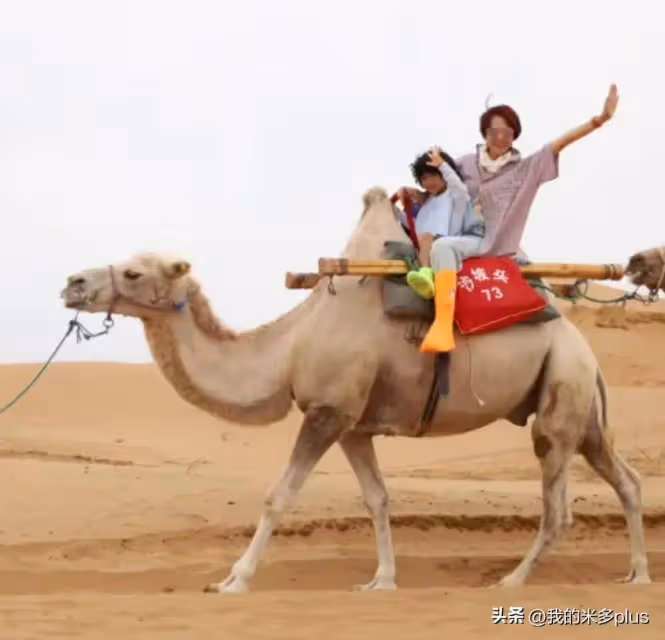 蔡少芬一家進沙漠旅行,張晉穿斗篷騎駱駝好酷,4歲兒子髮型搶鏡