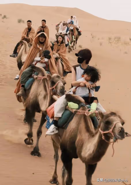 蔡少芬一家進沙漠旅行,張晉穿斗篷騎駱駝好酷,4歲兒子髮型搶鏡