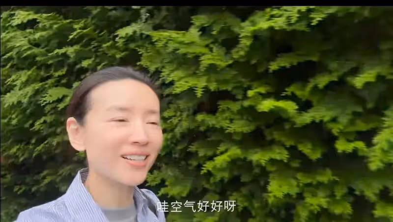 董潔和頂頂日本度假,頂頂顏值優越似張凌赫,竟說董潔本來就不美