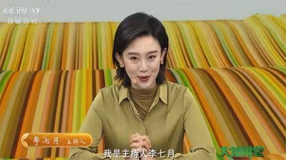 董卿接班人李七月,已然邁向另一條道路