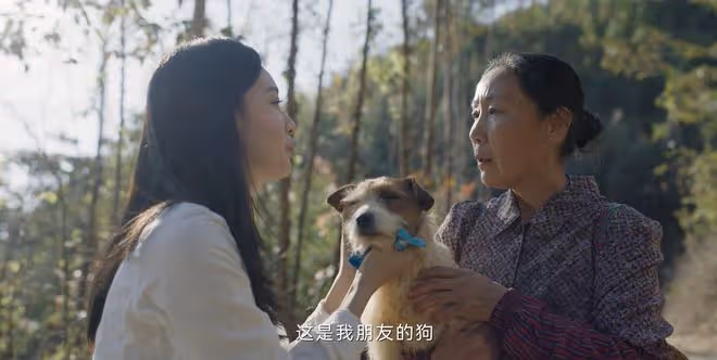 《錯位》大結局:三處不合理,顧己鳴留下罪證坑自己,張晴案爛尾