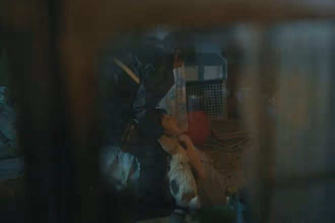 《錯位》大結局:三處不合理,顧己鳴留下罪證坑自己,張晴案爛尾