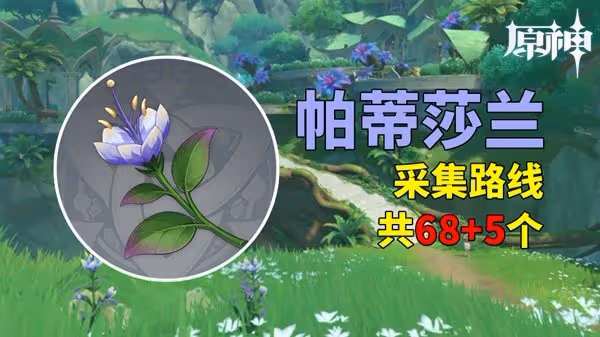 《原神》4.8帕蒂莎蘭採集路線分享