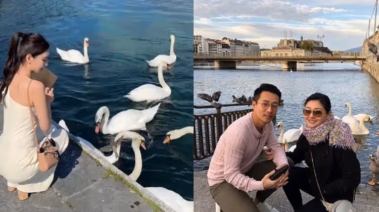唏噓！汪小菲帶新婚妻瑞士蜜月餵天鵝　結婚8周年帶大S也去過