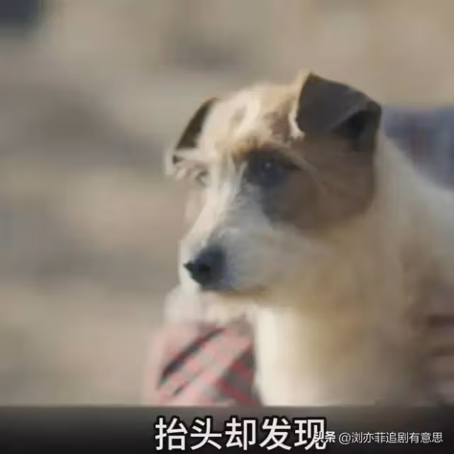 《錯位》大結局意不平!顧己鳴殺瘋了,江娜之後下一個目標是誰?