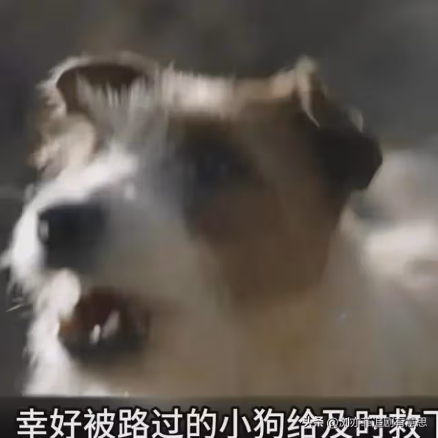 《錯位》大結局意不平!顧己鳴殺瘋了,江娜之後下一個目標是誰?