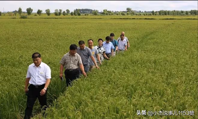 罵專家、罵交警、罵城管…這股歪風邪氣已經到非治不可的地步了!