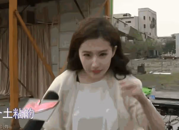 寶格麗這一晚,「膀大腰圓」的劉亦菲,給內娛審美上了生動的一課