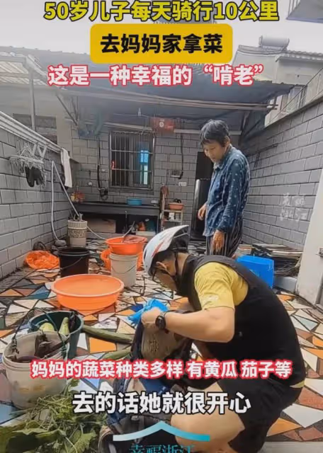 50歲兒子每天騎10公里去老家拿菜，不去的話父母會很失落：很幸福