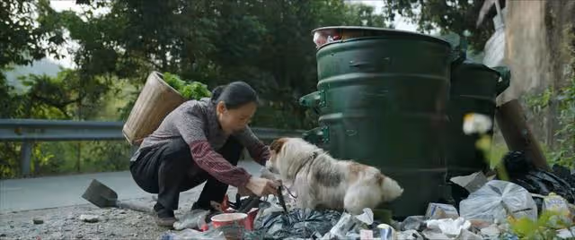 《錯位》結局：江娜，蘇真真同母異父，與顧己鳴分手，真相悲慘