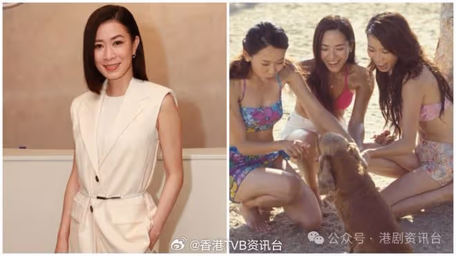佘詩曼直言曾想過出貓靠背默記對白!被重提楊思琦拍劇被欺負