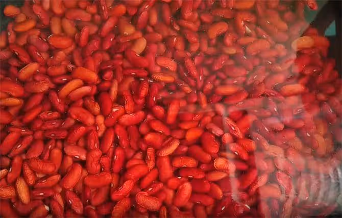 一斤豆子,2斤糯米粉,教你製作正宗東北蒸年糕,做一鍋能吃2個月