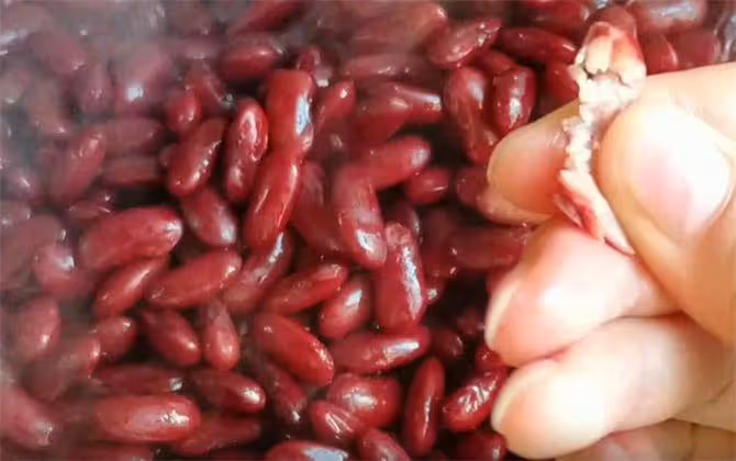 一斤豆子,2斤糯米粉,教你製作正宗東北蒸年糕,做一鍋能吃2個月