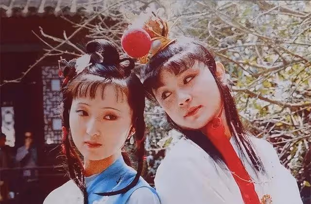 87版《紅樓夢》主演:有人賺上億,有人酗酒死,運氣最差的是他