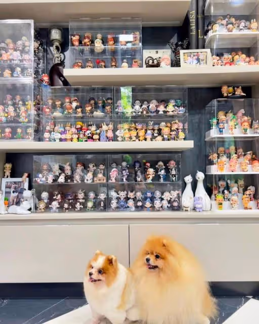 POP MART偶遇LISA一直在拆!媽媽曝光狂粉LISA收藏牆也太實名羨慕
