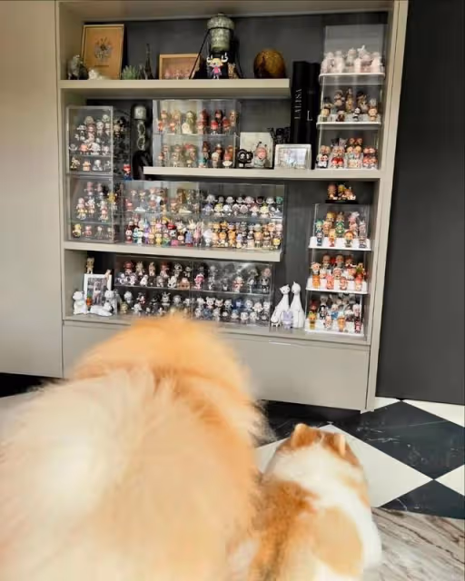 POP MART偶遇LISA一直在拆!媽媽曝光狂粉LISA收藏牆也太實名羨慕