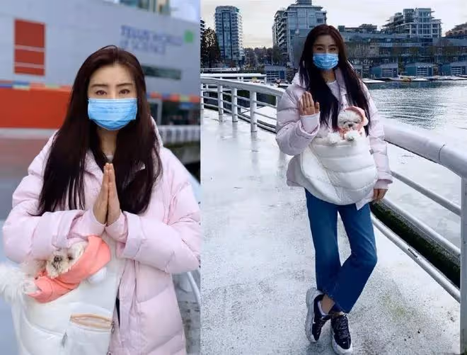43歲柳岩說希望有個伴,揭開了娛樂圈大齡單身獨居女星的心酸