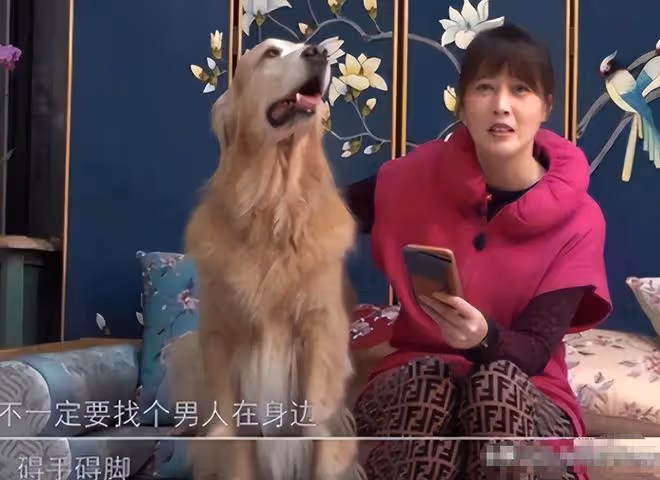 43歲柳岩說希望有個伴,揭開了娛樂圈大齡單身獨居女星的心酸