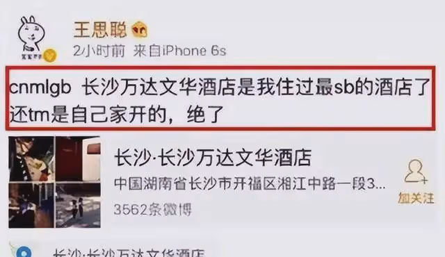 王思聰社媒帳號被封禁!終於為自己的「口無遮攔」付出了代價